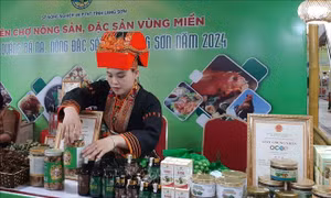 Tuần lễ quảng bá trái na và nông đặc sản Lạng Sơn đến với Thủ đô