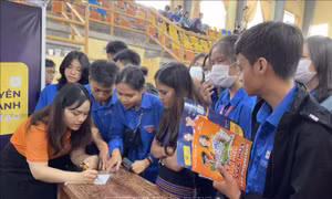 Tư vấn hướng nghiệp, giới thiệu việc làm cho sinh viên, học sinh Thừa Thiên - Huế