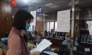 Sáu tháng, trên 62.000 doanh nghiệp thành lập mới