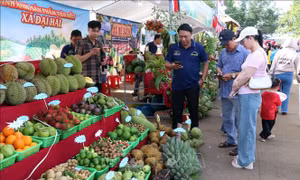 Tôn vinh và quảng bá nông sản bản địa qua Ngày hội sông nước miệt vườn