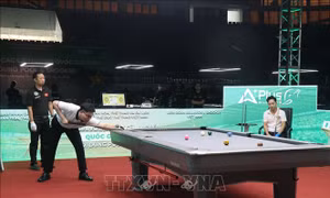 Trên 700 VĐV tham gia Giải Vô địch Billiards và Snooker các Câu lạc bộ quốc gia