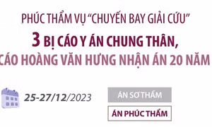 Vụ chuyến bay giải cứu: 3 bị cáo y án chung thân, Hoàng Văn Hưng nhận án 20 năm tù