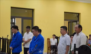 Lĩnh án tù vì nhận tiền đăng ký, đăng kiểm tàu cá trái phép
