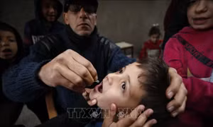 Xung đột Hamas - Israel: UNICEF cảnh báo tình trạng thiếu vật tư y tế thiết yếu cho trẻ em tại Gaza