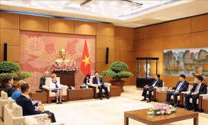 Chủ tịch Quốc hội Vương Đình Huệ tiếp Phó Chủ tịch thứ nhất Quốc hội Hungary