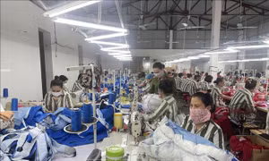 Bảo đảm tái hòa nhập cộng đồng đối với người chấp hành xong hình phạt tù