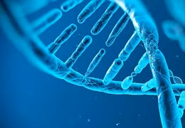 Tạp chí Science (Mỹ) bình chọn sự kiện khoa học đột phá của năm 2018