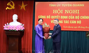 Bà Hà Thị Nga được điều động, chỉ định giữ chức Bí thư Tỉnh ủy Tuyên Quang