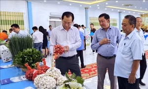 Xây dựng các mô hình sản xuất nông nghiệp hữu cơ được chứng nhận