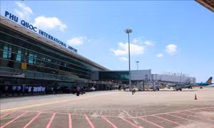 Từ ngày 28/10 sẽ mở lại đường bay Cần Thơ - Phú Quốc
