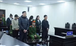 Phạt tù 11 bị cáo trong đường dây buôn lậu vàng từ Trung Quốc về Việt Nam