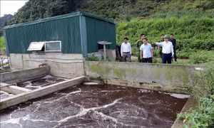 Nghị quyết thành lập đoàn giám sát chuyên đề về bảo vệ môi trường