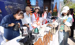Việt Nam-Trung Quốc tăng cường hợp tác cà phê, mở ra cơ hội mới tại Vân Nam