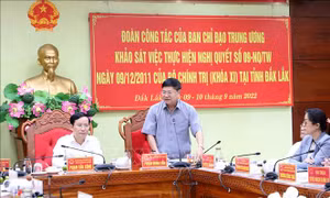 Khảo sát, đánh giá việc thực hiện Nghị quyết 09/NQ-TW tại tỉnh Đắk Lắk