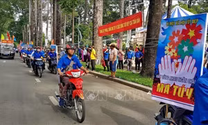 Triển khai Tháng hành động phòng, chống ma tuý năm 2024