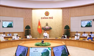 Phó Thủ tướng Trần Lưu Quang chủ trì Phiên họp Hội đồng thẩm định Quy hoạch lâm nghiệp quốc gia 