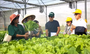 Nửa thế kỷ kiến tạo nền nông nghiệp công nghệ cao - Bài 1: Cuộc chuyển đổi chiến lược