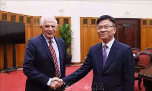 Đề nghị EC sớm gỡ bỏ 'thẻ vàng' đối với xuất khẩu hải sản của Việt Nam