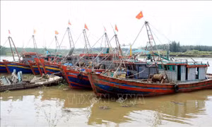 Ứng phó bão số 11: Hưng Yên cấm biển từ 17 giờ ngày 4/10