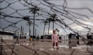 Căng thẳng tại Trung Đông: Israel xác nhận đàm phán con tin Gaza đã nối lại tại Qatar