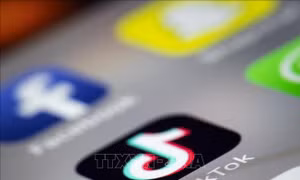 Nga phạt TikTok, Telegram, Zoom, Discord, Pinterest