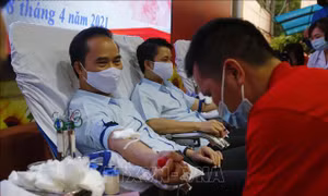 Ngày hội hiến máu 'Giọt hồng xứ Tuyên'