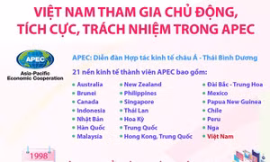 Việt Nam tham gia chủ động, tích cực, trách nhiệm trong APEC