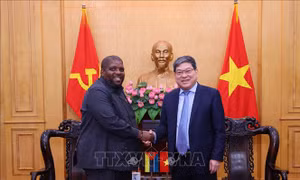 Tăng cường hợp tác đào tạo, bồi dưỡng lãnh đạo quản lý Việt Nam - Mozambique