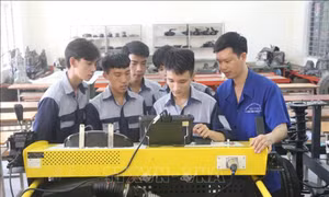 Đào tạo nghề, nâng cao kỹ năng cho lao động trẻ