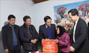 Tết Bính Ngọ sẻ chia yêu thương