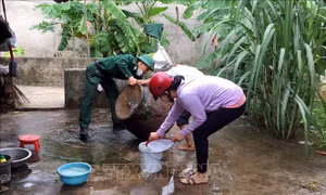 Tăng cường phòng, chống dịch bệnh sốt xuất huyết và tay chân miệng