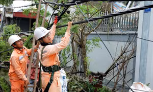 Bão số 10: Gần 3 triệu khách hàng Điện lực miền Bắc ảnh hưởng