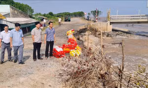 Sạt lở đê Biển Đông đoạn giáp ranh Bạc Liêu - Sóc Trăng, nguy cơ vỡ đê