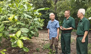 Tỏa sáng phẩm chất cao đẹp của Bộ đội Cụ Hồ trong thời bình