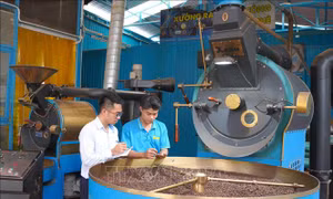 Tạo thêm cơ hội để thanh niên khởi nghiệp, làm giàu chính đáng