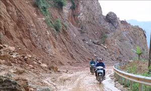 Ứng phó bão số 11: Khắc phục sự cố, đảm bảo an toàn hệ thống đê
