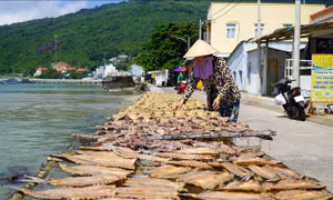 Nâng giá trị và thương hiệu sản phẩm cá khô