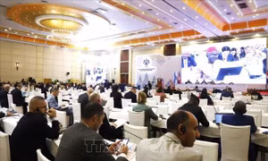 Cam kết vì một thế giới hòa bình và an toàn