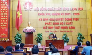 Lạng Sơn: Thông qua Nghị quyết điều chỉnh ranh giới 3 loại rừng và chuyển mục đích sử dụng rừng