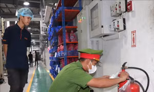 Đình chỉ hoạt động nhiều cơ sở vi phạm quy định phòng cháy, chữa cháy