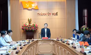 Công bố quyết định kiểm tra của Bộ Chính trị với bốn Ban Thường vụ Thành ủy, Tỉnh ủy