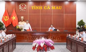 Bộ Nội vụ làm việc với Cà Mau về công tác thi hành pháp luật và xử lý vi phạm hành chính