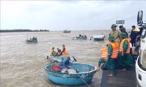 Tìm kiếm ngư dân mất tích do thuyền bị sóng đánh chìm