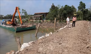 Vùng chuyên canh cây ăn quả phòng chống hạn, mặn