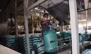 Đổi mới xúc tiến thương mại, gỡ điểm nghẽn xuất khẩu chính ngạch