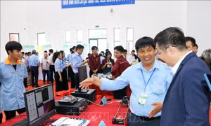 Giải pháp số hóa cho phát triển bền vững