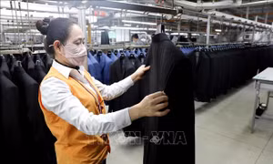 Khí thế sản xuất đầu Xuân – Kỳ vọng một năm tăng trưởng mạnh