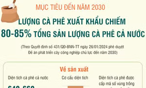 Mục tiêu đến năm 2030, lượng cà phê xuất khẩu chiếm 80-85% tổng sản lượng cà phê cả nước