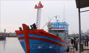 Chuyển biến trong nâng cao nhận thức chống khai thác IUU