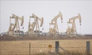 Citi hạ dự báo giá dầu Brent xuống 60 USD/thùng
